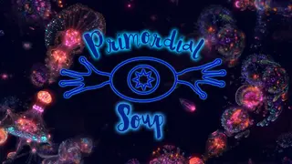 Primordial Soup