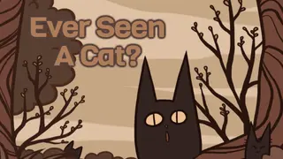 Ever Seen A Cat?