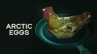 Arctic Eggs