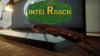 IntelRoach