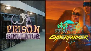 Cyber Farmer in Prison