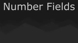 Number Fields