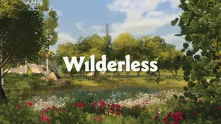 Wilderless
