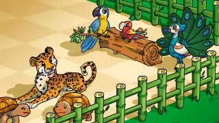 Habitat Shapes: The Tropical Journey - Xbox Series