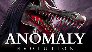Anomaly Evolution