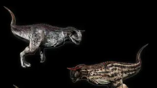 Carno Pack 01 - PS4