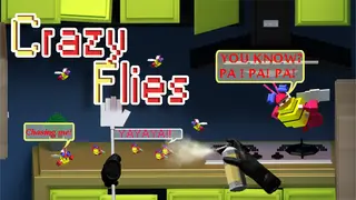 Crazy Flies