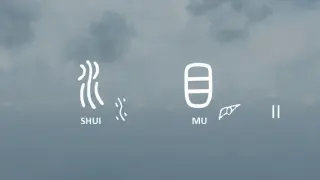 ShuiMu Ⅱ