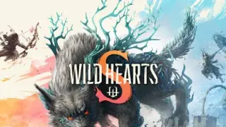WILD HEARTS S - Switch