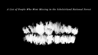 A List Of People Who Went Missing In The Scheleirland National Forest