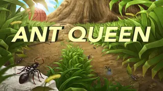 Ant Queen