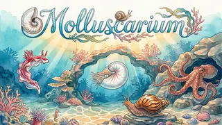 Molluscarium