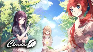 Cicadas - The IQA