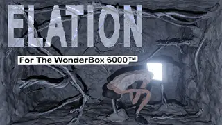 Elation For The Wonder Box 6000