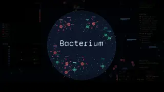 Bacterium - Switch