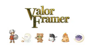 Valor Framer