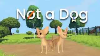 Not a Dog