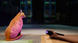 Order 13 (Xbox Series)