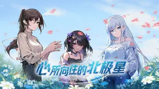 心所向往的北极星