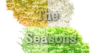 The Seasons