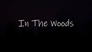 In The Woods