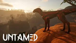 Untamed