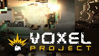 Voxel Project VR