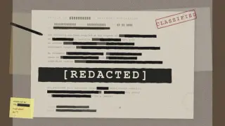 [REDACTED]