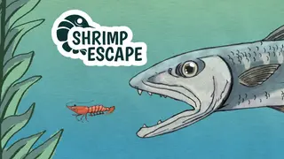 Shrimp Escape