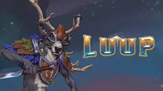 LUUP
