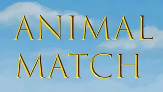Animal Match