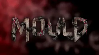 MOULD