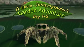 A little Jumpingspider's Garden Adventure (Day 1+2)
