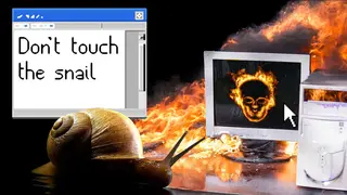 Don't Touch the Snail