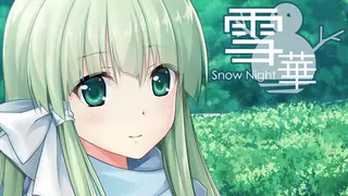 SnowNight