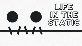 Static Vision