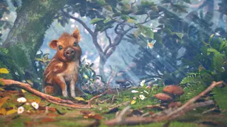 Adorable Adventures - Xbox Series