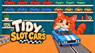 Tidy Slot Cars