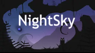 NightSky