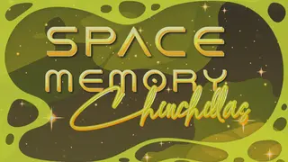 Space Memory: Chinchillas