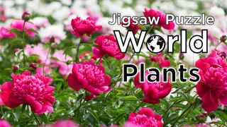 Jigsaw Puzzle World - Plants
