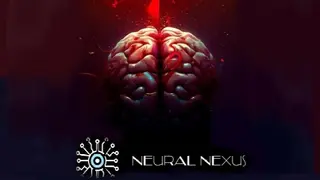 神经联结(Neural Nexus)