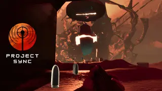 Project sync
