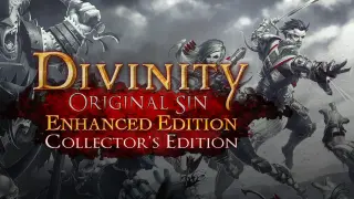 Divinity: Original Sin Enhanced Edition
