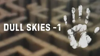 Dull Skies -1