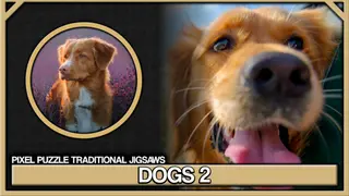 Pixel Puzzles Traditional Jigsaws Pack: Dogs 2