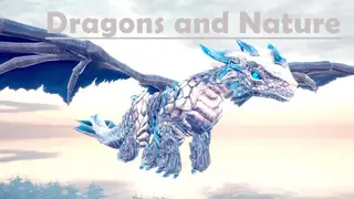 Dragons and Nature