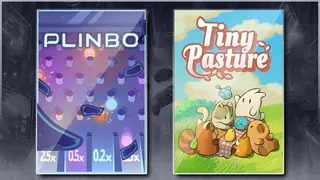 Plinbo: Roguelike Plinko & Tiny Pasture