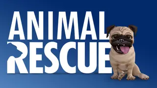 Animal Rescue