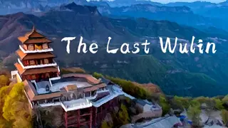 The Last Wulin